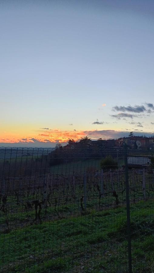 Il Cortile Di Greta Bed & Breakfast Lu (Piedmont) Екстериор снимка