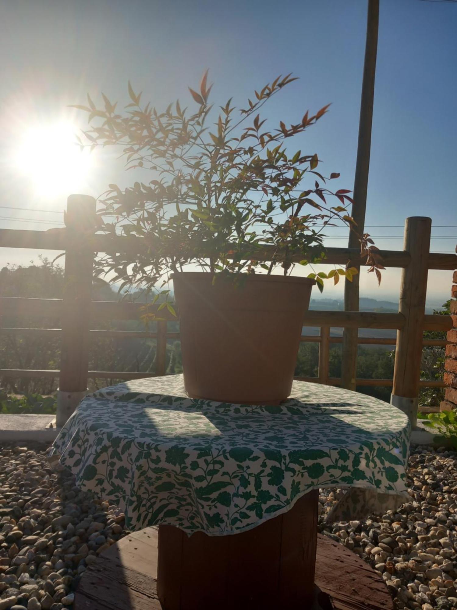 Il Cortile Di Greta Bed & Breakfast Lu (Piedmont) Екстериор снимка