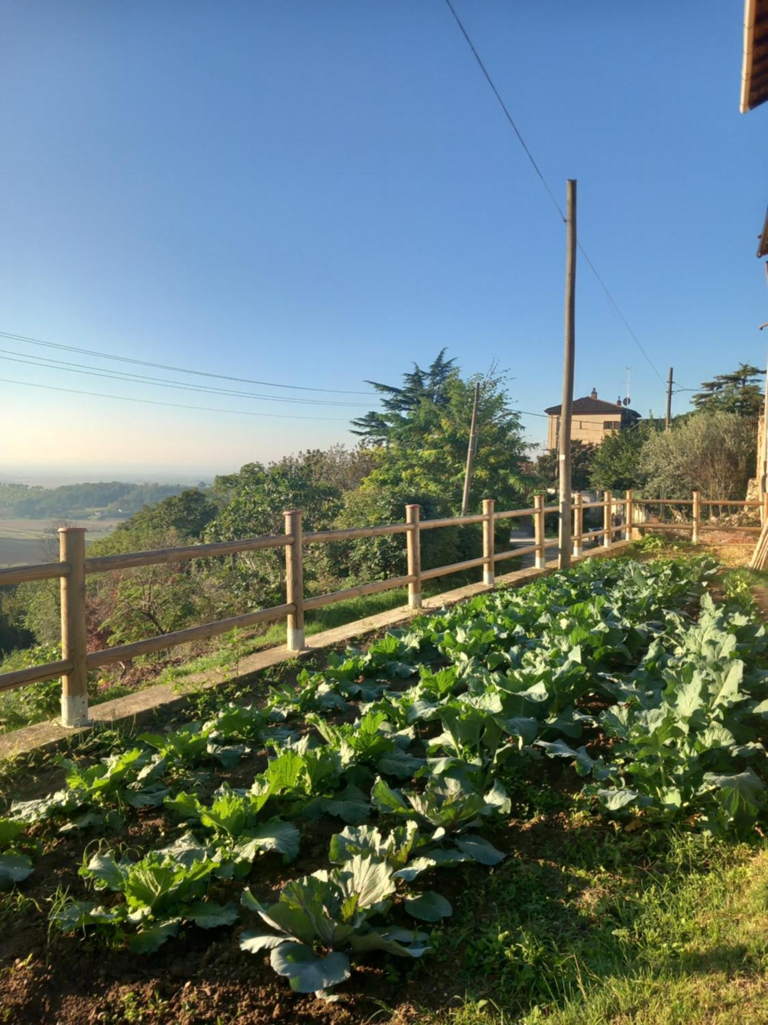 Il Cortile Di Greta Bed & Breakfast Lu (Piedmont) Екстериор снимка